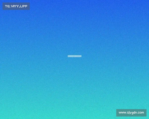 赛事执行主管赛事执行官